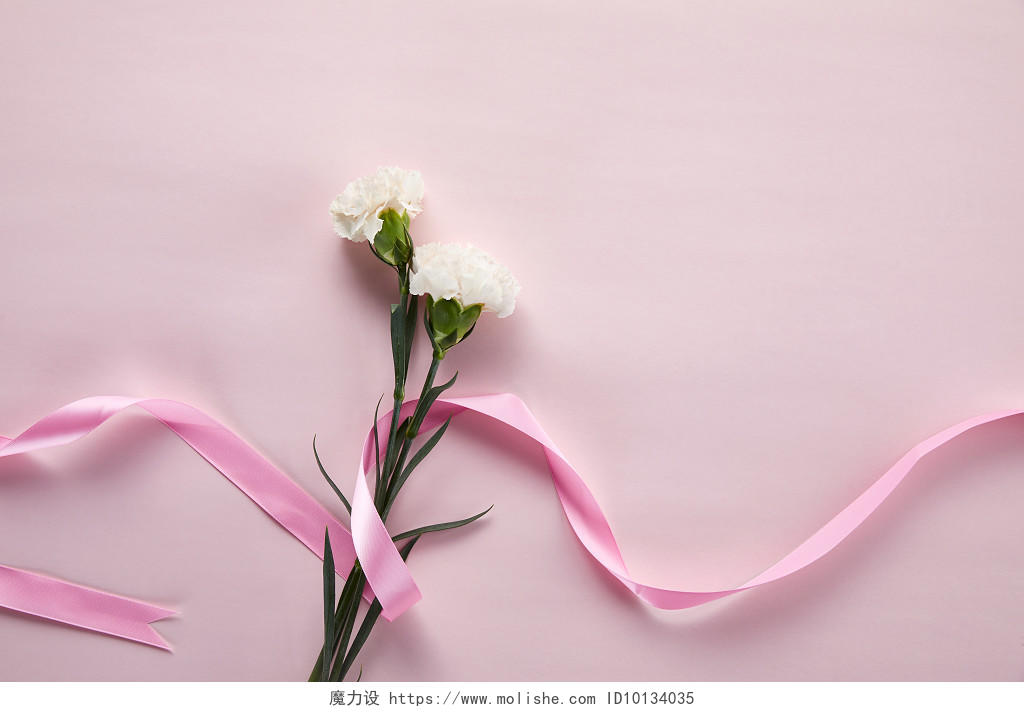 鲜花花朵丝带环绕的康乃馨在粉色背景纸上的场景素材教师母亲节教师节